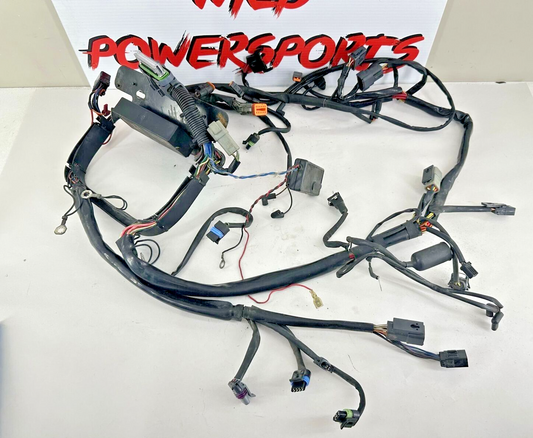 2003 HARLEY SOFTAIL Main Wiring Harness Loom + Fuse + Relay