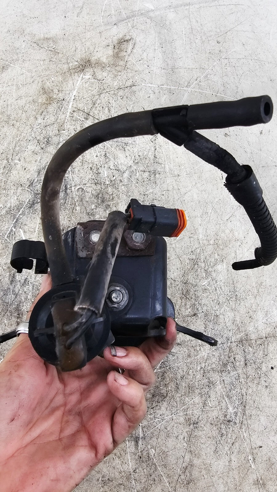 2000 Harley Davidson Sportster Upper Front Motor Mount Bracket + Bolts