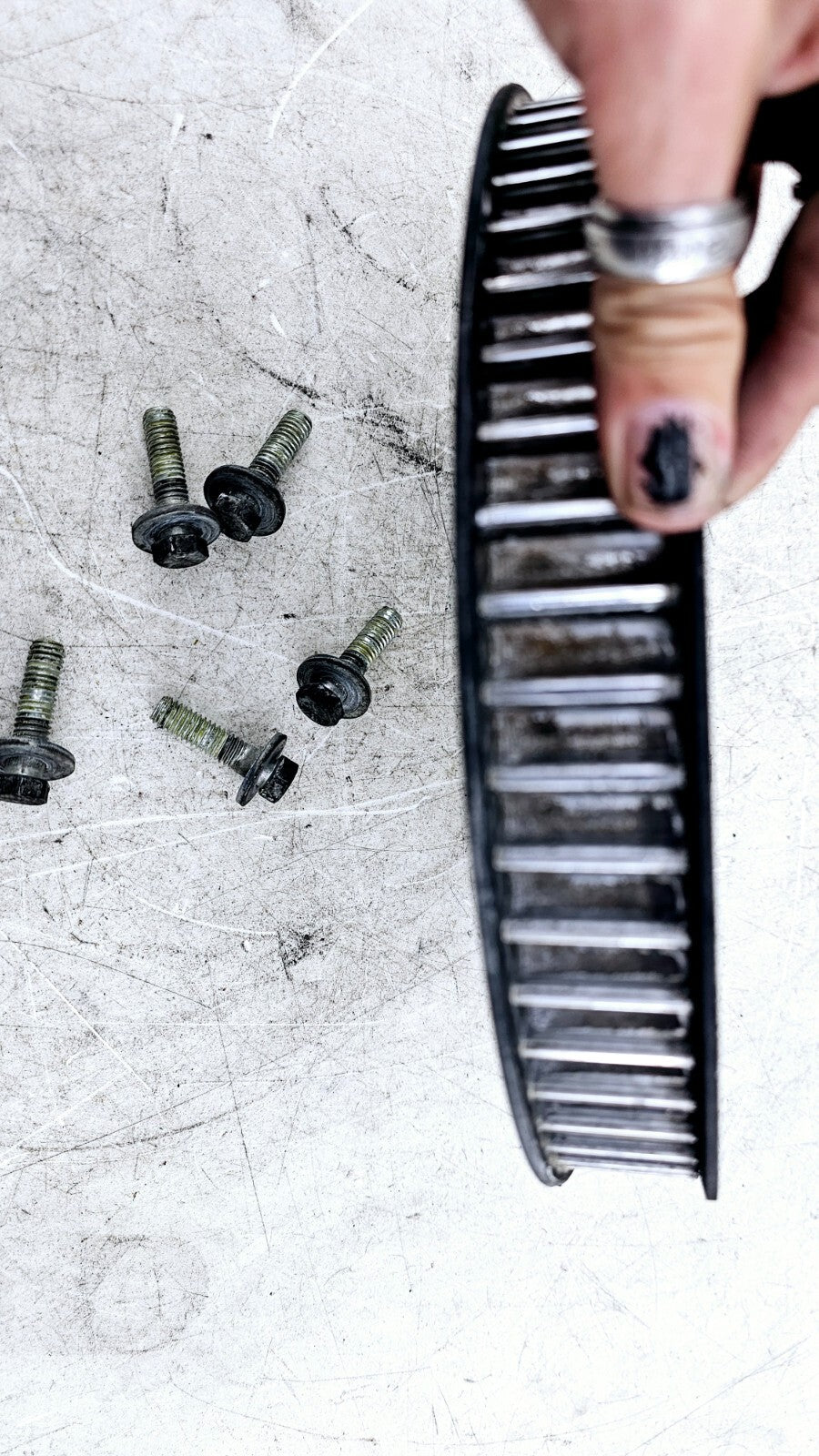 2000 Harley Davidson Sportster Final Drive Sprocket Pulley Gear