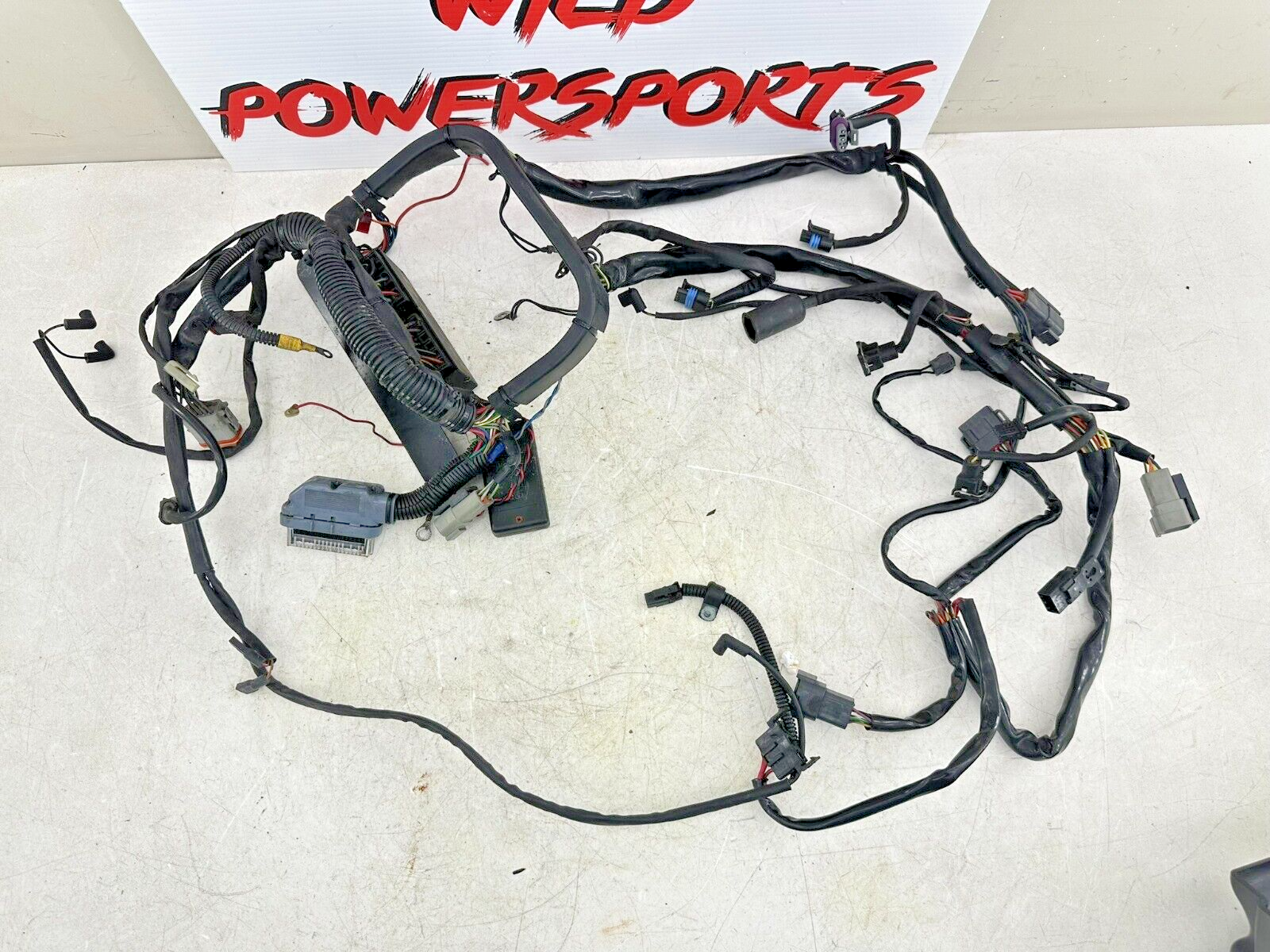 2003 HARLEY SOFTAIL EFI Main Wiring Wire Harness Loom Fuse Relay