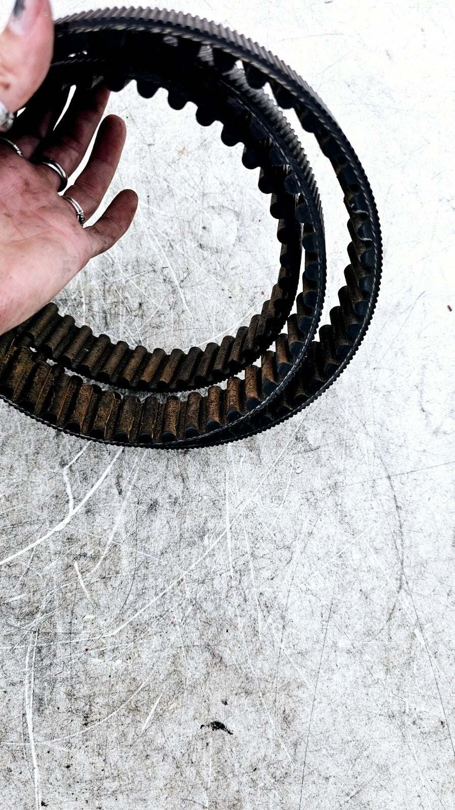 1994 HARLEY FLH ELECTRA GLIDE Final Drive Belt