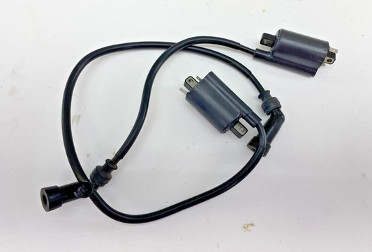 06-17 SUZUKI BOULEVARD M109R VZR1800 Ignition Coils Spark Plug Wires
