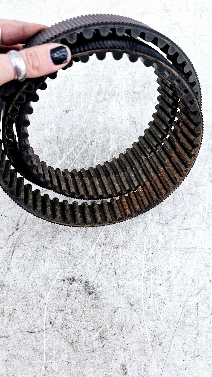 1998 HARLEY FLH ROADKING Final Drive Belt OEM HD