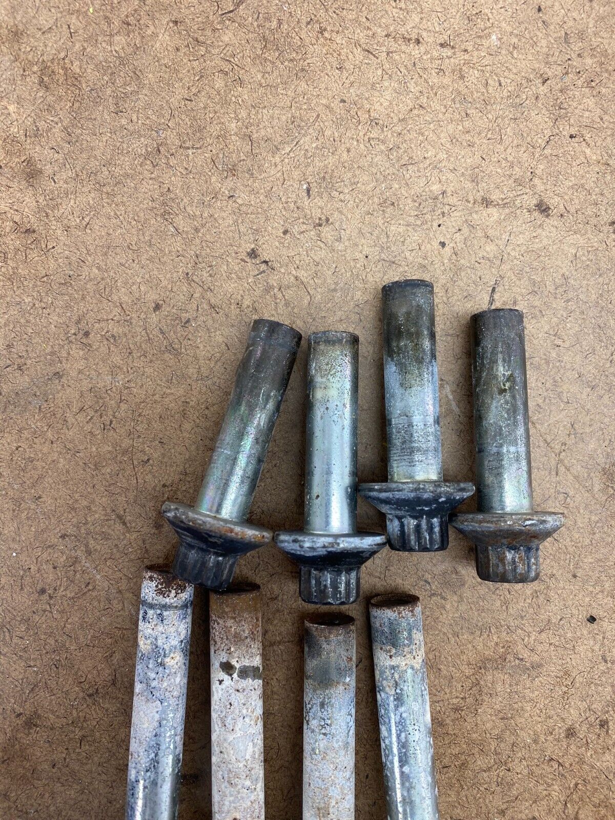 2001 Harley Davidson Sportster Head Nuts X8