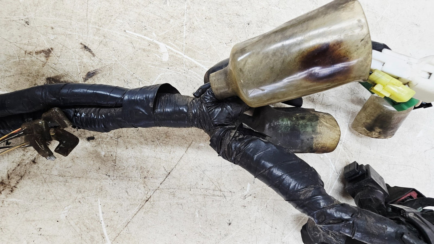 2000 HONDA VALKYRIE INTERSTATE Main Wire Wiring Harness Loom