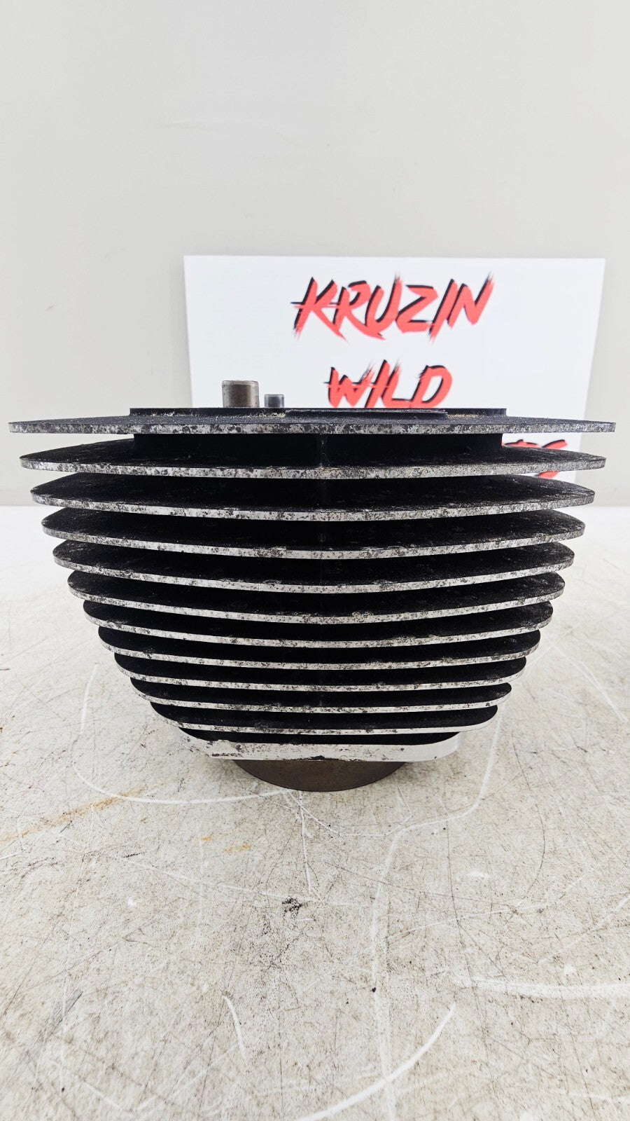 2000 HARLEY FLH ROADKING Engine Motor Cylinders Jugs Cylinder