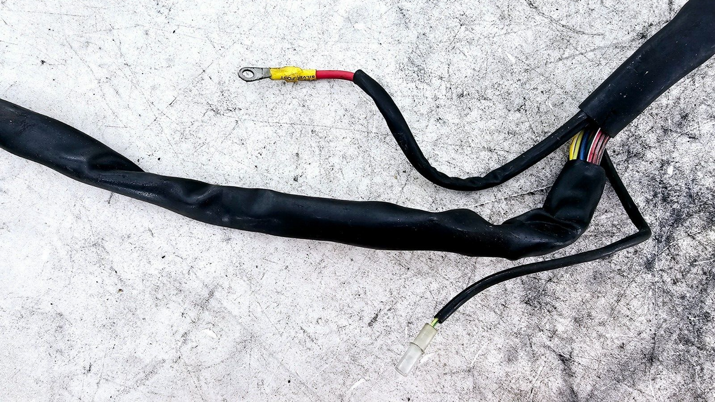 1998 HARLEY FLH ROADKING Main Wiring Wire Harness Loom Fuse Relay