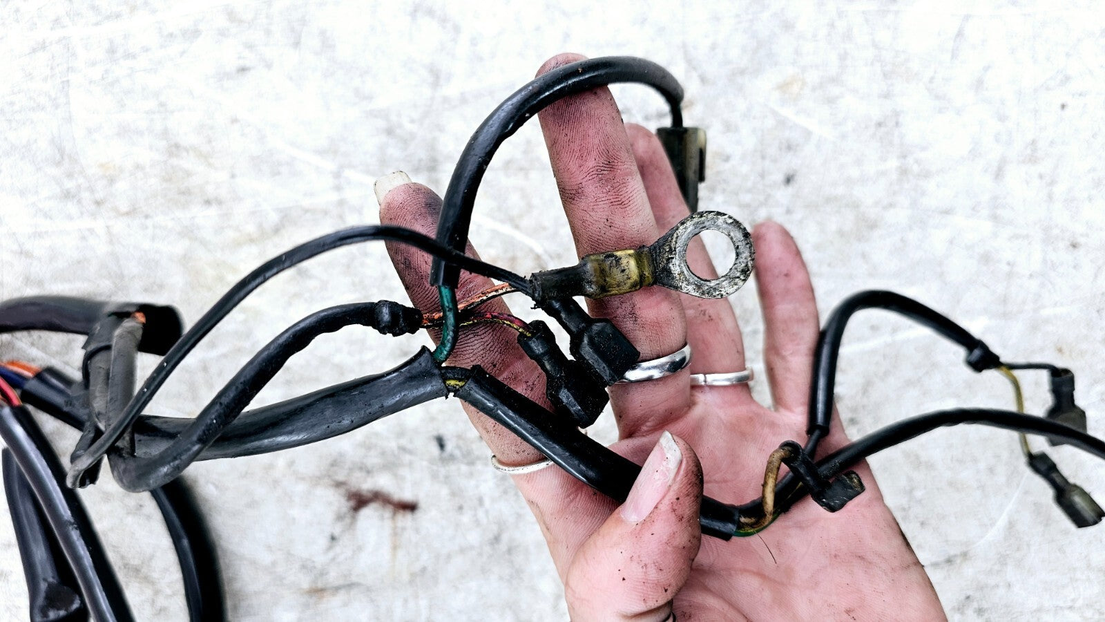 1995 HARLEY DYNA CONVERTIBLE Main Wire Wiring Harness Loom